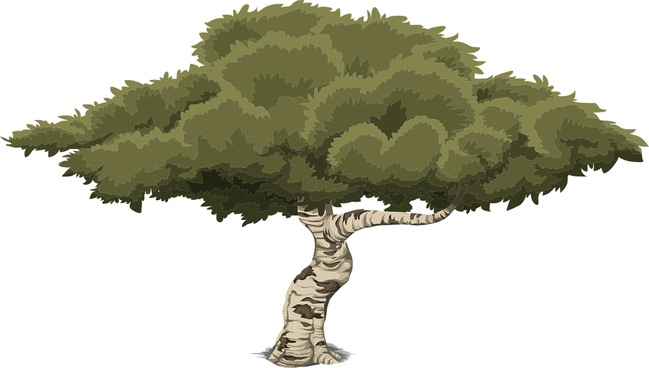 Tree Removal Alpharetta